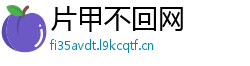 片甲不回网